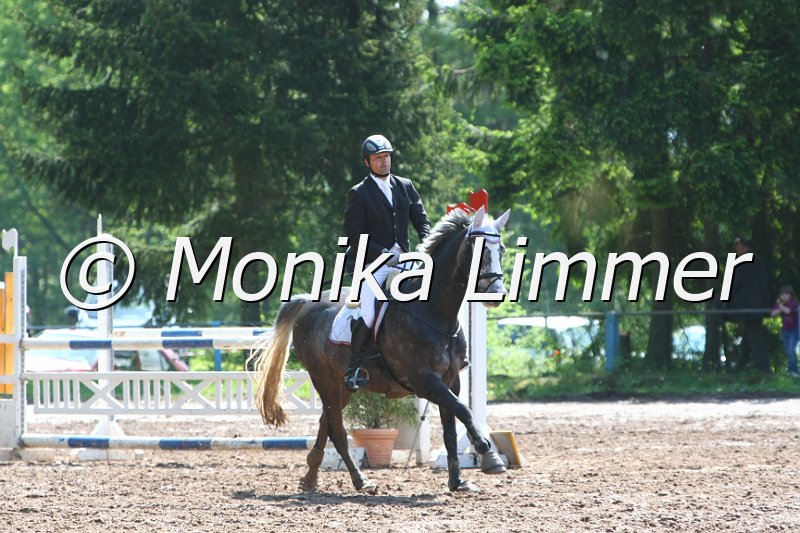 104M8061_Springpf L.JPG